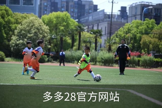 多多28官方网站公司介绍